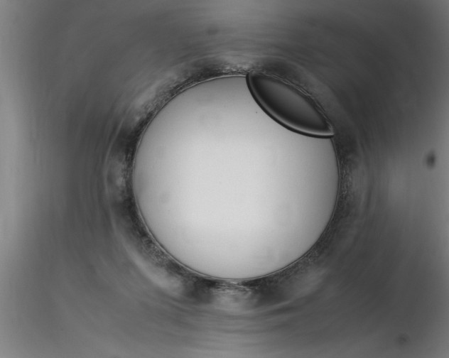 X0000116370215200912231322