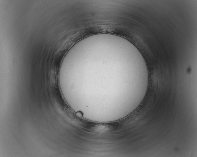 X0000116370218200912231322