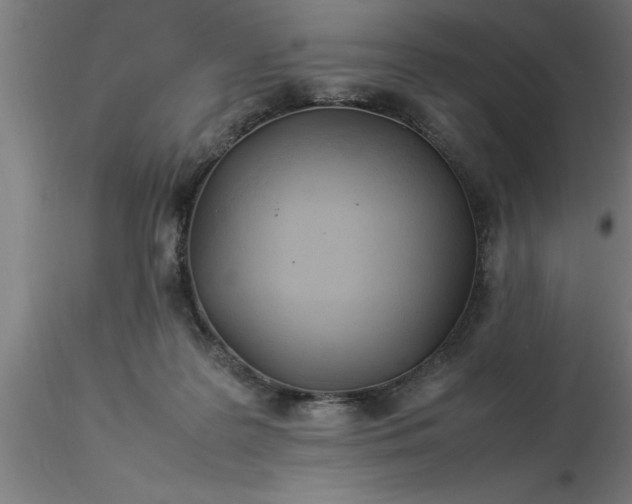 X0000116370219200912231322