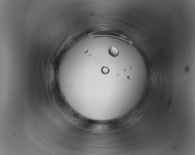 X0000116370220200912231322