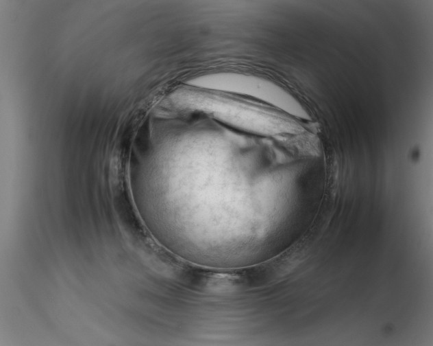 X0000116370222200912231322