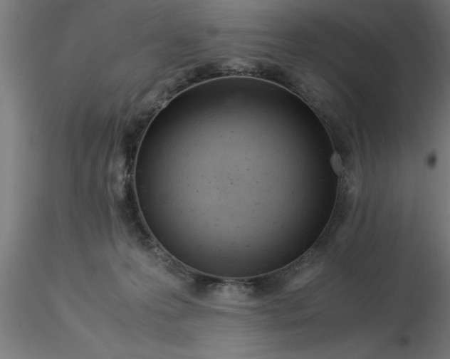 X0000116370223200912231322