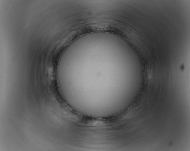 X0000116370224200912231322