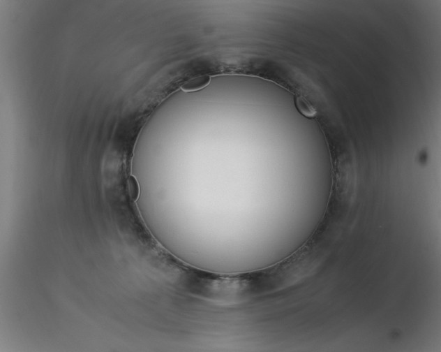 X0000116370225200912231322