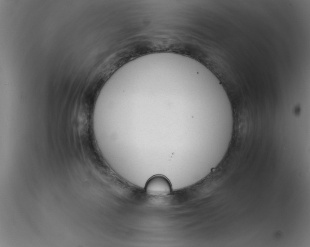 X0000116370226200912231322