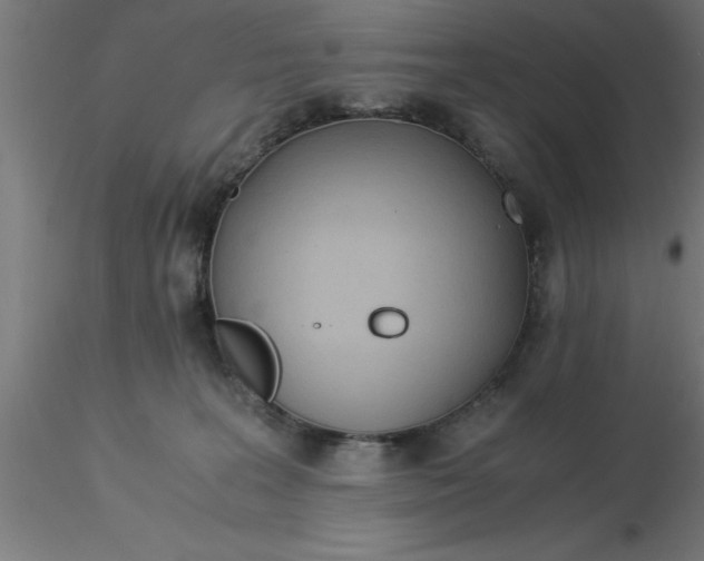 X0000116370227200912231322