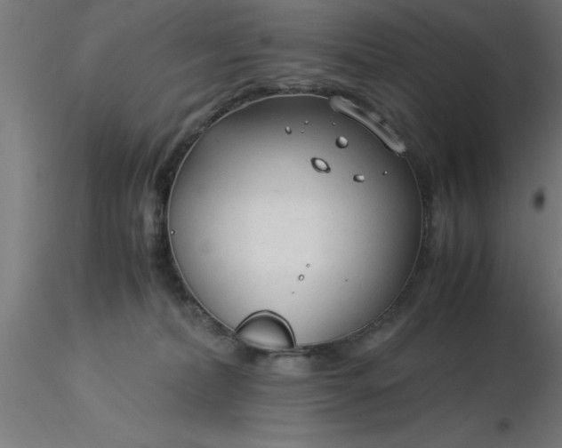 X0000116370228200912231322