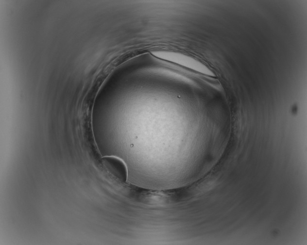 X0000116370229200912231322