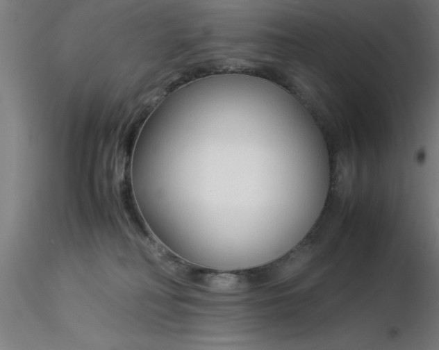 X0000116370230200912231322