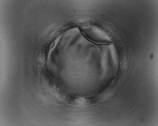 X0000116370231200912231322