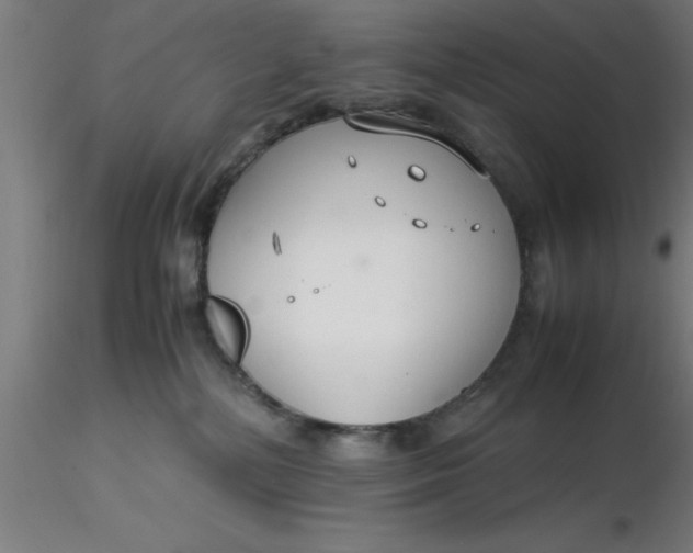 X0000116370232200912231322