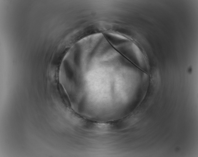 X0000116370233200912231322