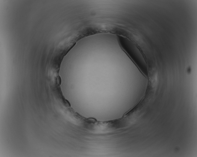 X0000116370235200912231322