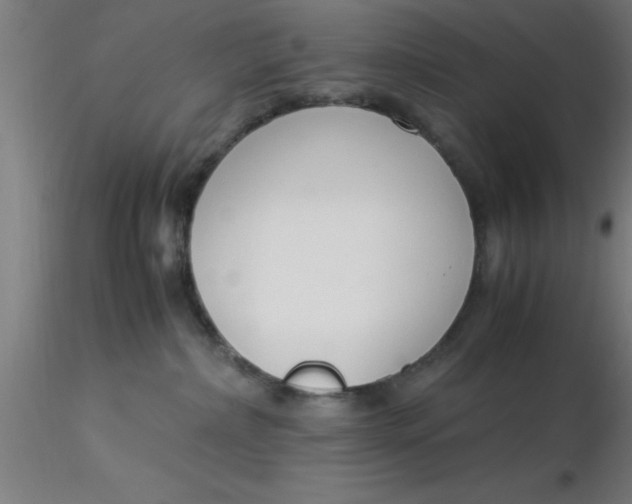 X0000116370236200912231322