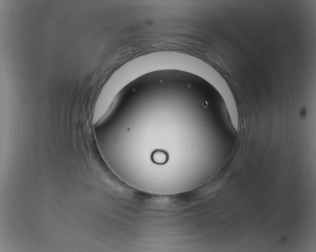 X0000116370237200912231322