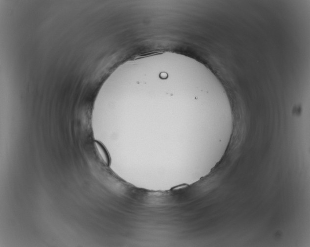 X0000116370240200912231322