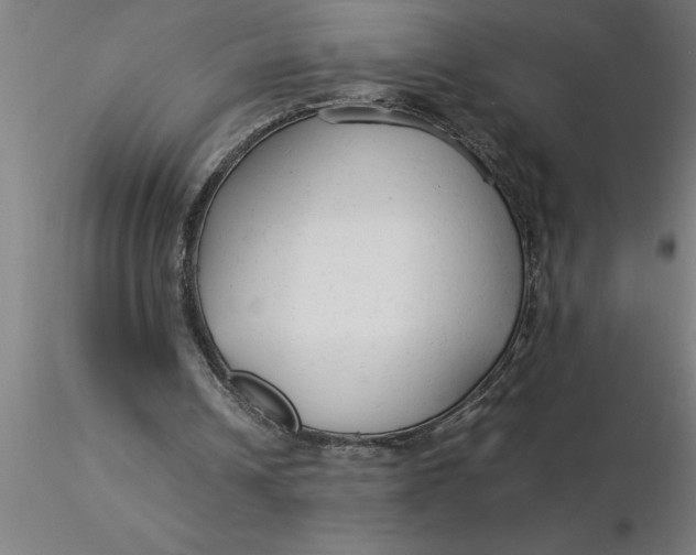 X0000116370242200912231321