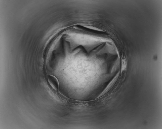 X0000116370243200912231322