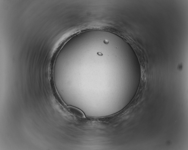 X0000116370244200912231322