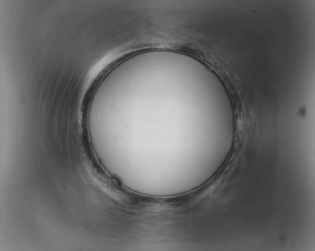 X0000116370246200912231322