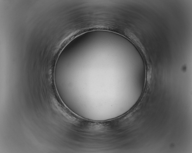 X0000116370249200912231322