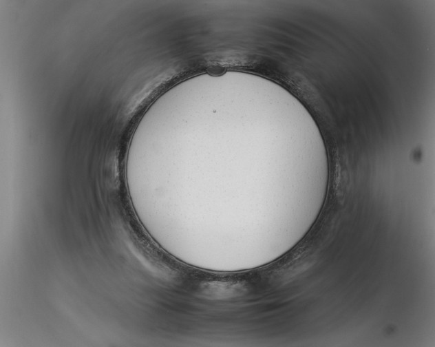 X0000116370251200912231322