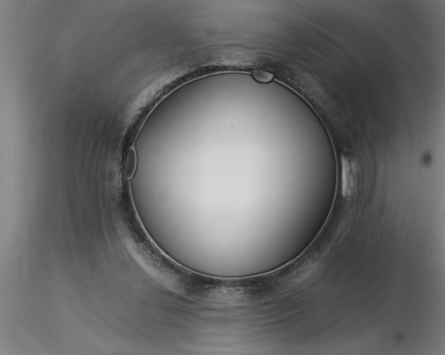 X0000116370252200912231322