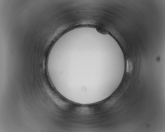 X0000116370253200912231322