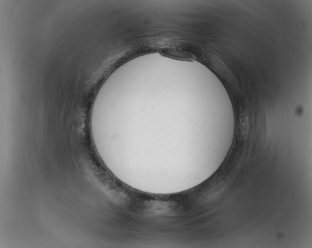 X0000116370255200912231322