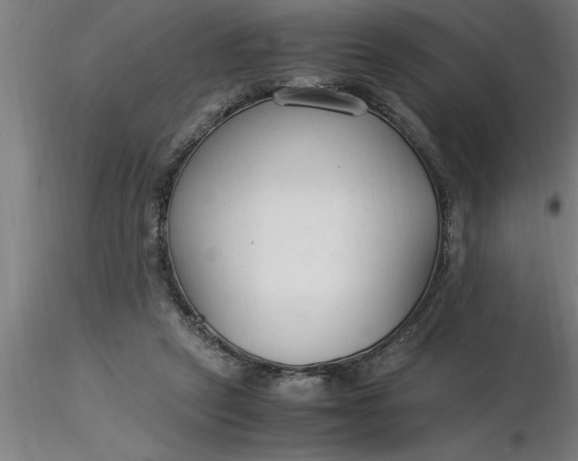 X0000116370257200912231322