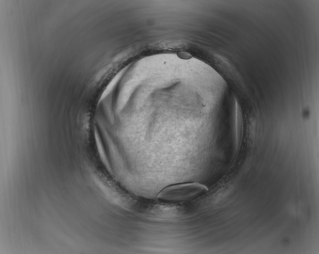 X0000116370260200912231322