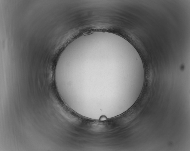 X0000116370261200912231322