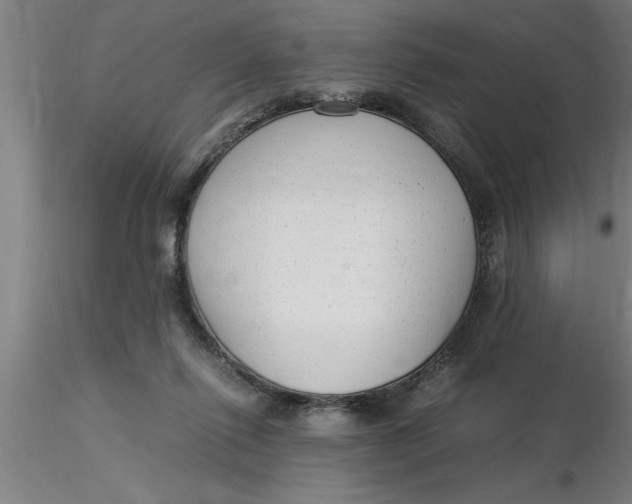 X0000116370262200912231322