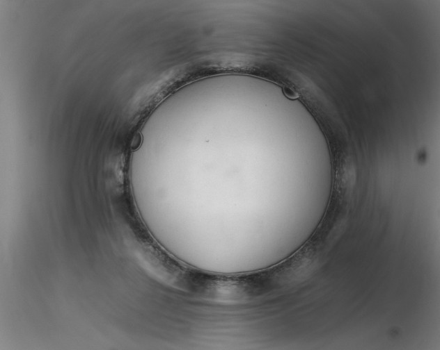 X0000116370264200912231322