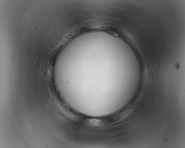 X0000116370265200912231322