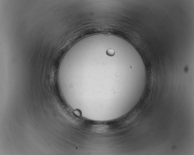 X0000116370266200912231322