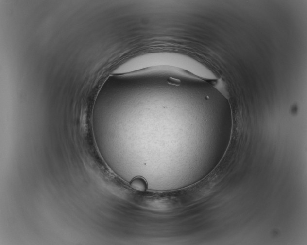 X0000116370267200912231322