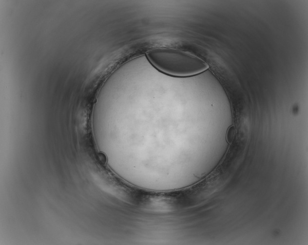 X0000116370268200912231322