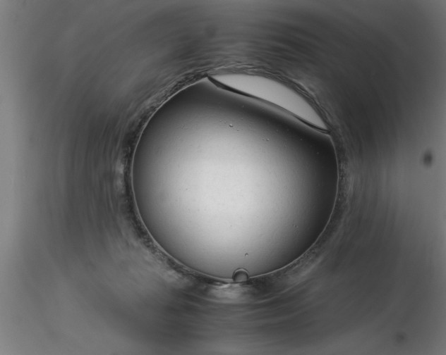 X0000116370269200912231322