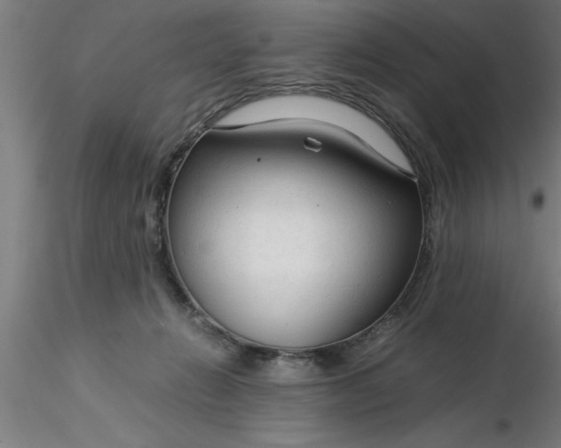 X0000116370270200912231322