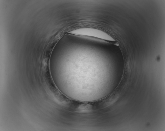 X0000116370271200912231322