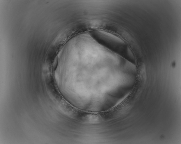 X0000116370272200912231322