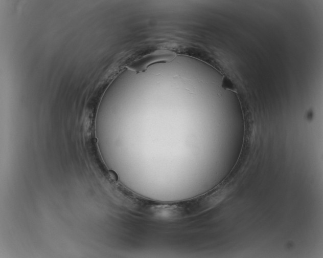 X0000116370273200912231322