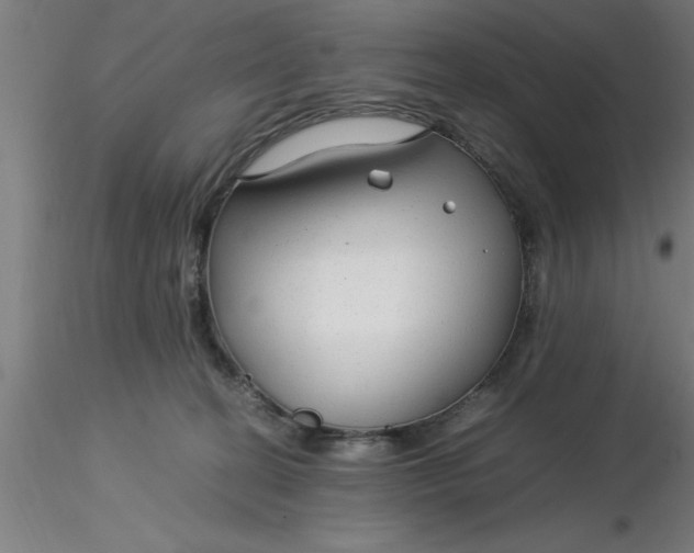 X0000116370274200912231322