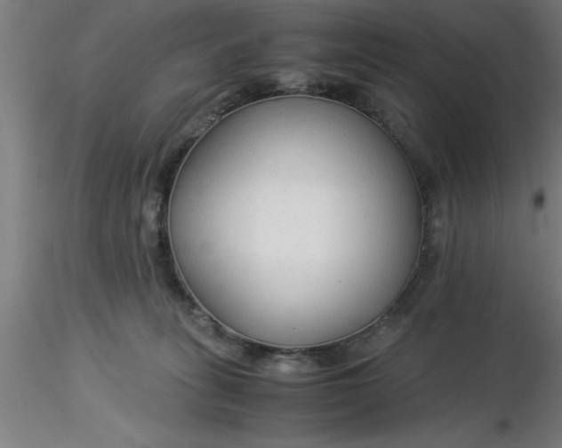 X0000116370275200912231322