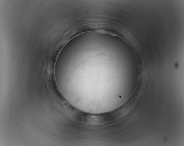 X0000116370277200912231322