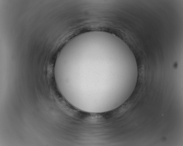 X0000116370278200912231322