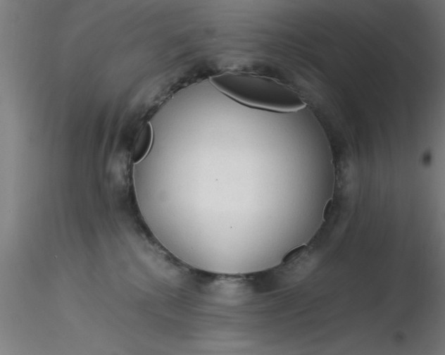 X0000116370280200912231322