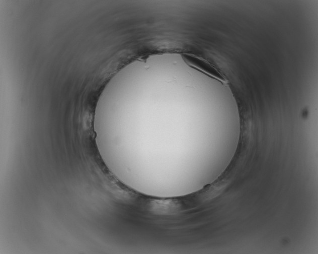 X0000116370281200912231322