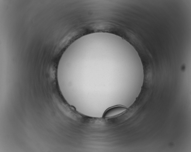 X0000116370282200912231322